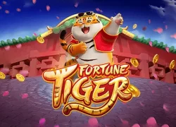Fortune Tiger